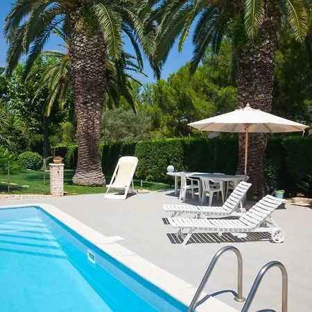 Anaclerio *